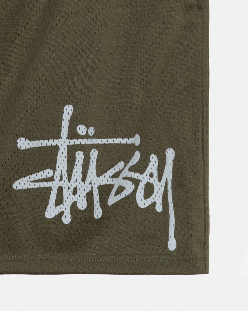 Stussy Big Basic Mesh Kort - Men&s Shorts Trunks Olijfgroen | FNLHY30772
