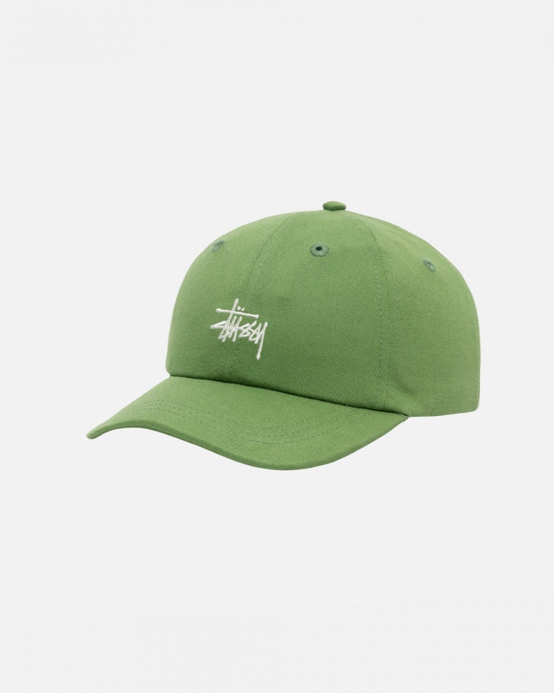 Stussy Low Pro Basic Stock Strapback - Unisex Groen | TNLWZ31503