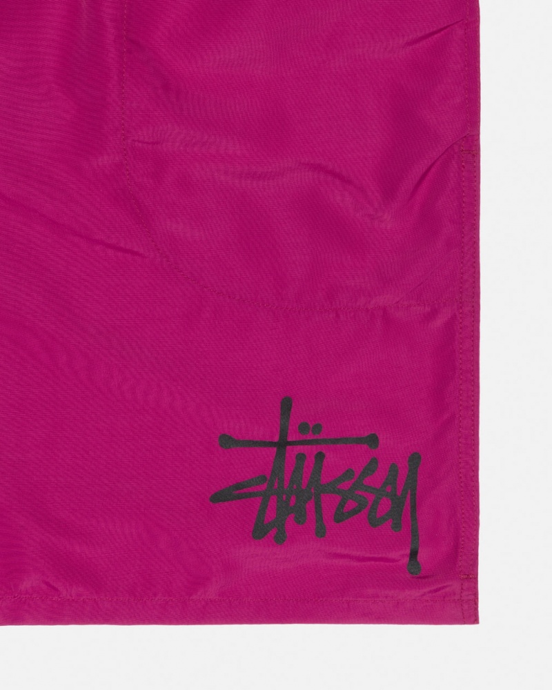 Stussy Water Kort Big Basic - Unisex Shorts Trunks Roze | NLICD73932